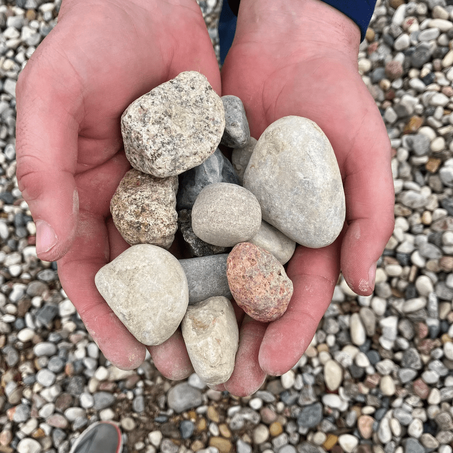 American Heritage 1.5" (1/2 Yard) - Holland Landscape Supply