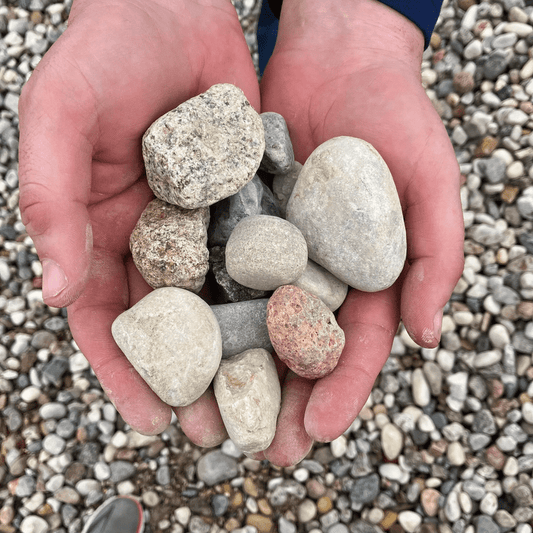 American Heritage 1.5" (1/2 Yard) - Holland Landscape Supply