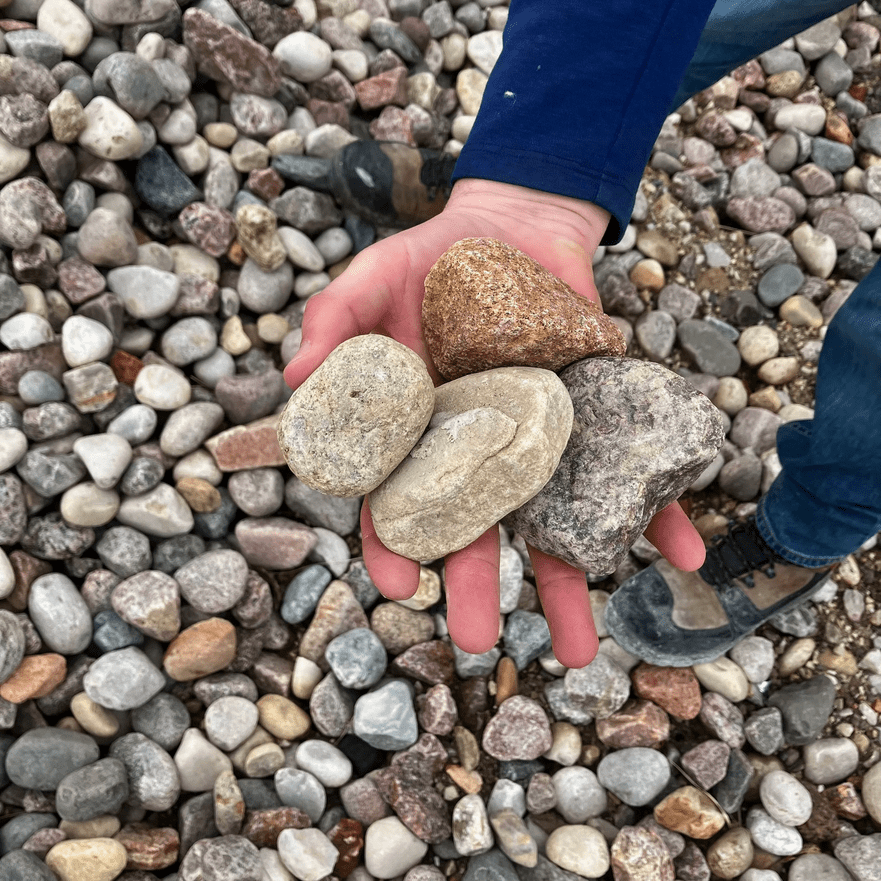 American Heritage 2 - 4" (1/2 Yard) - Holland Landscape Supply